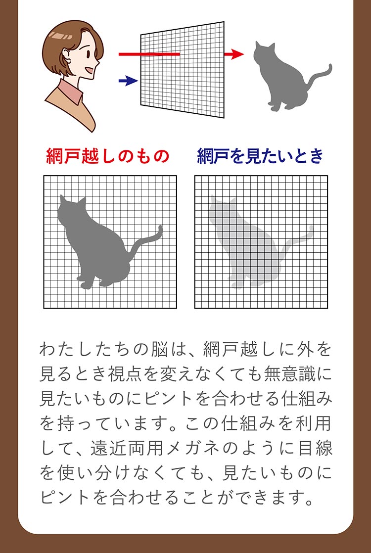 ワンデーピュアマルチステージ
