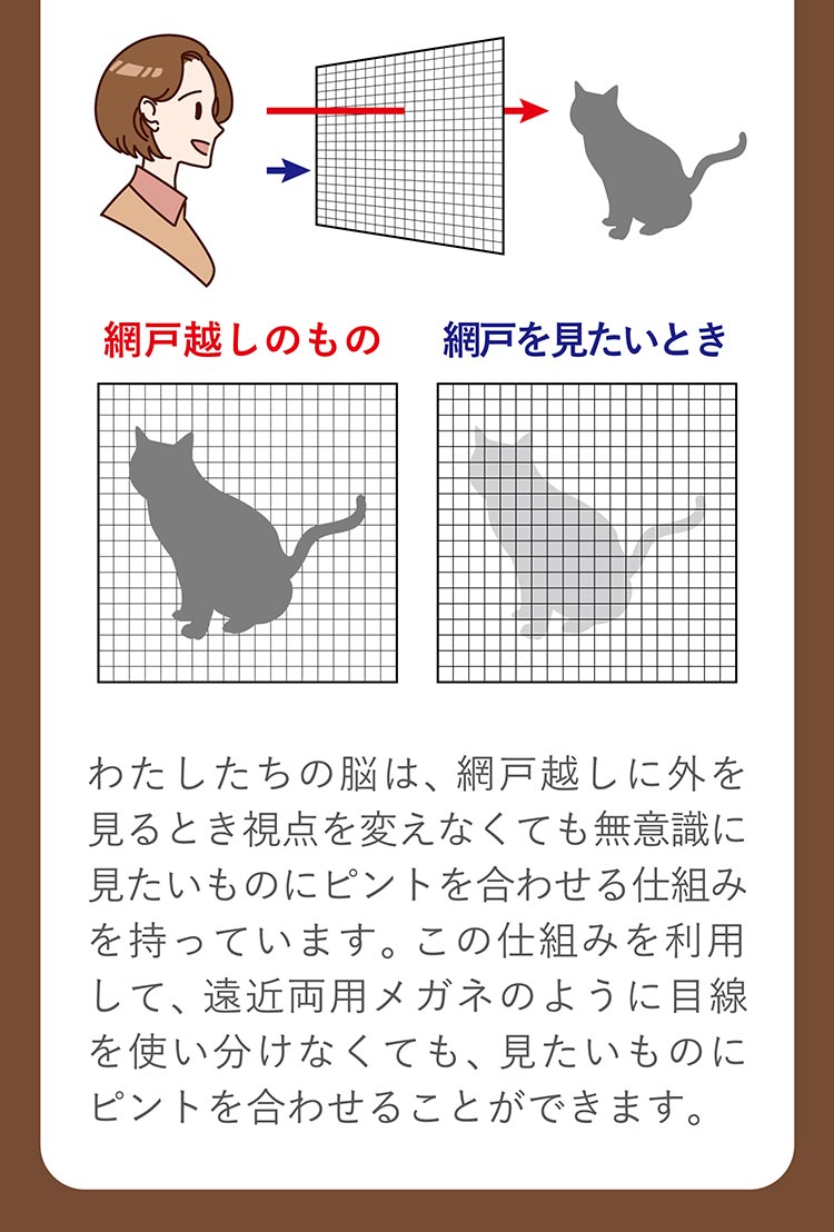 2ウィークピュアマルチステージ
