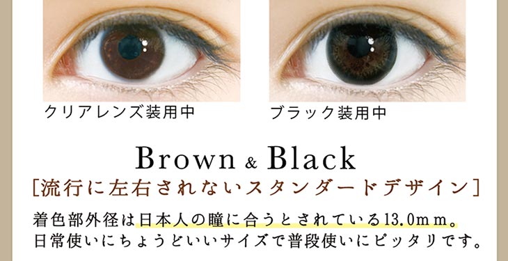 Brown & Black 流行に左右されないスタンダードデザイン